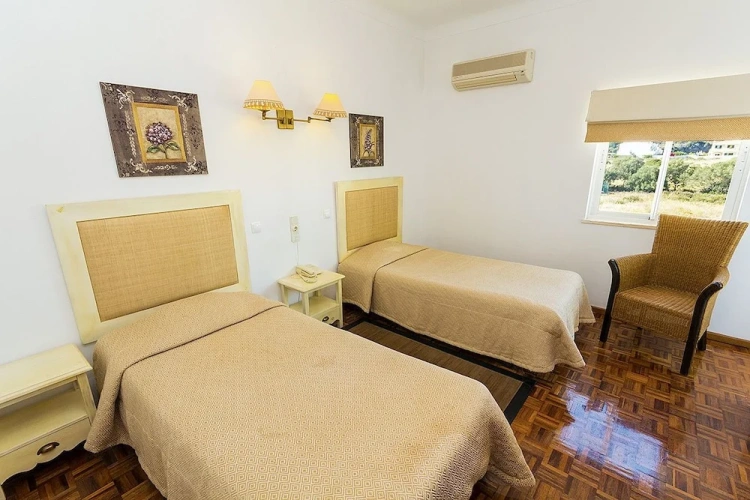 Standard Twin room with balcony and with garden view