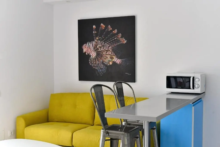 Deluxe Apartment