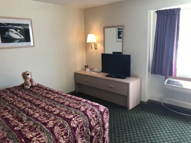 1 Bedroom Suite
