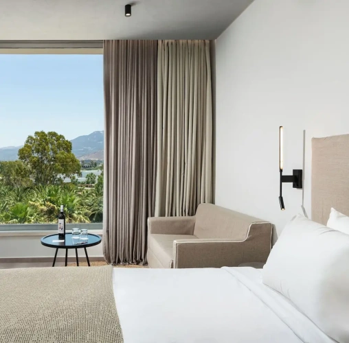 Standard Double room with garden view