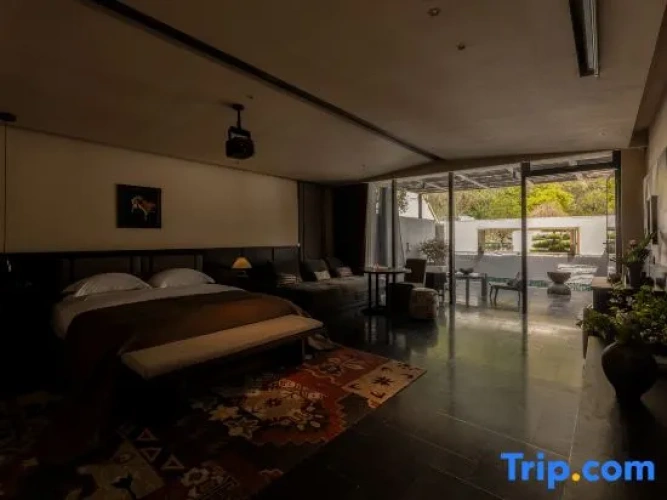 Standard Double room with courtyard view