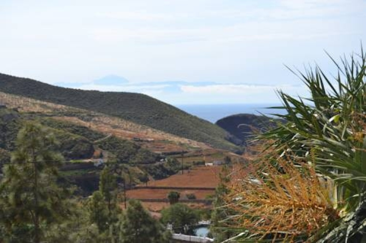 Casa Rural Agaete