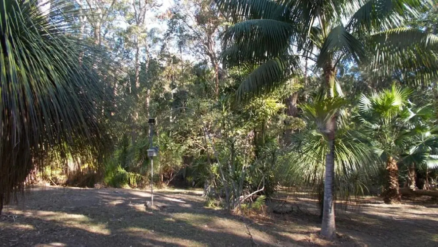 SWR Rainforest Retreat 2