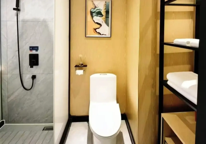 Classic Twin room with city view