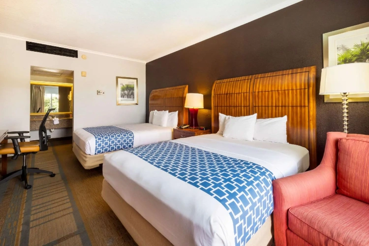 Standard Quadruple room with pool view