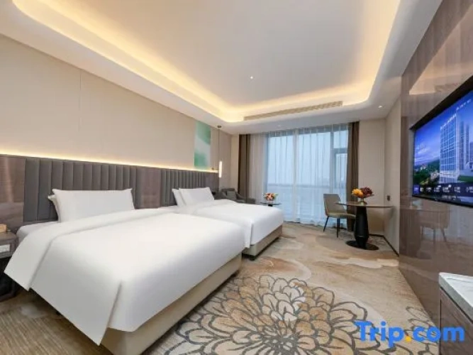 Executive Twin room