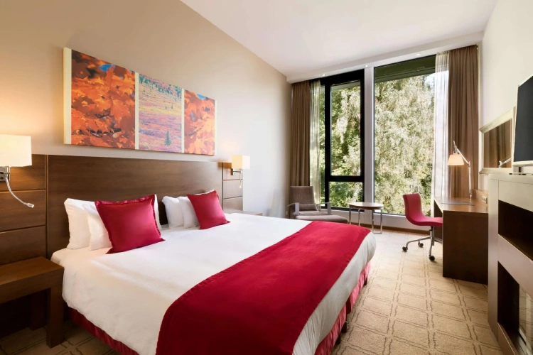 Deluxe room