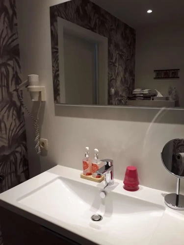 1 Bedroom Luxury Suite