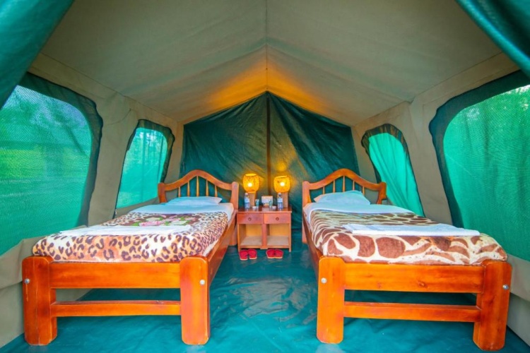 Tent