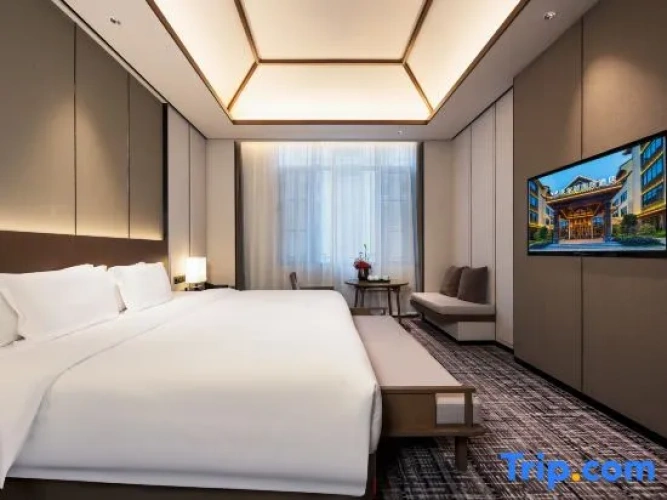 Comfort Suite