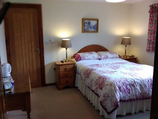 Standard Double room with garden view