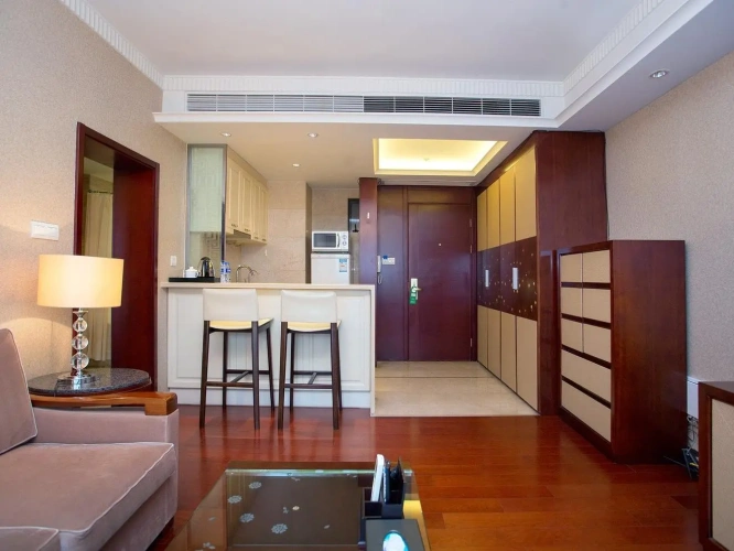 Deluxe Apartment