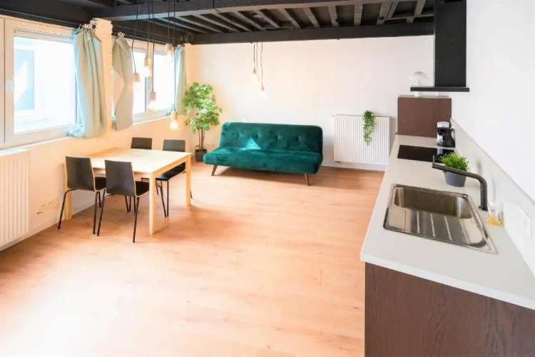 Duplex Apartment