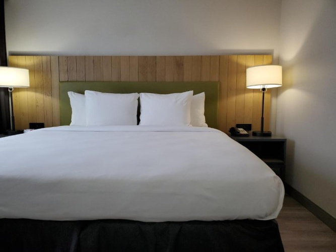 1 Bedroom Double Suite