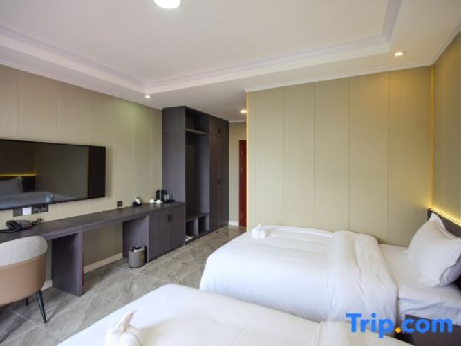 Deluxe Twin room with city view