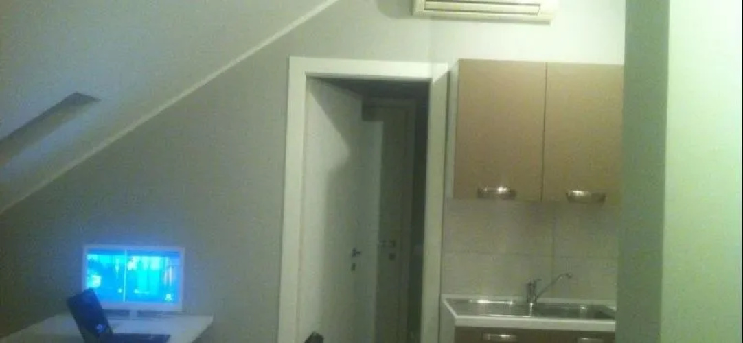 Luxury Apartment