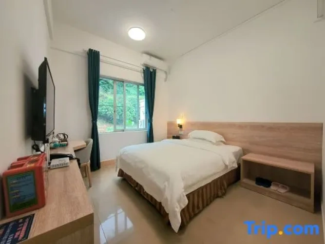 Standard Double room with garden view
