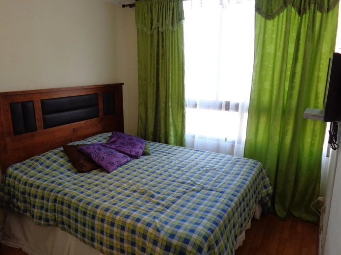 Departamento Vicuña Mackena