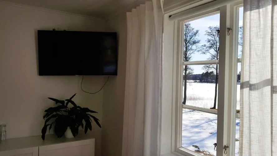 Standard Suite with view