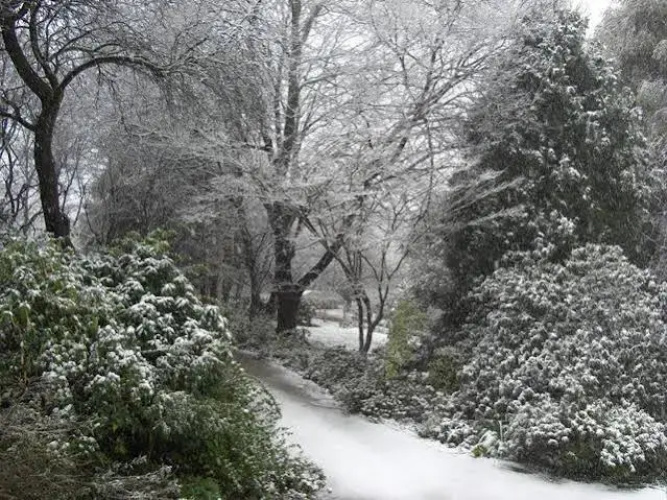 Woolrich Historic Garden Cottage
