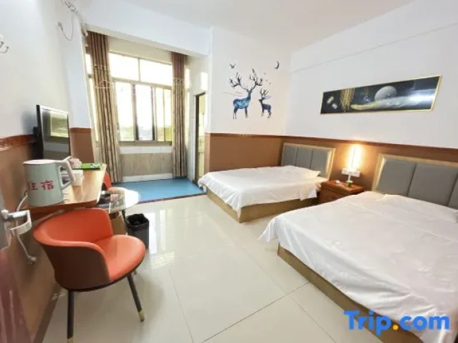 Standard Twin room with view