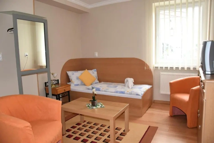 Standard Single room
