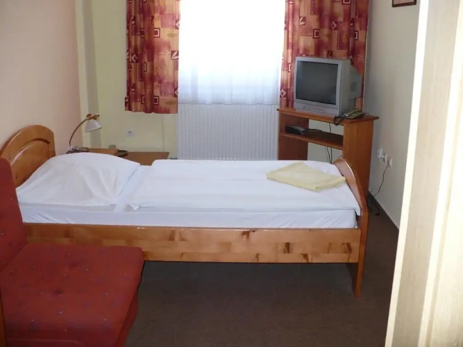 Standard Single room with mountain view