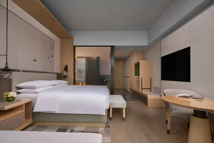 Standard Double Club room with city view