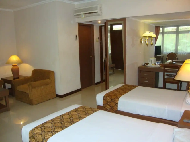 Deluxe Twin room