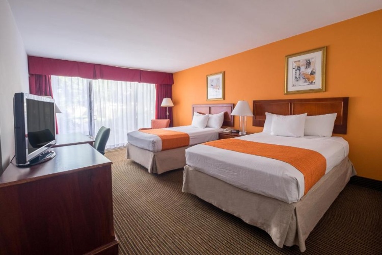 Quadruple Studio Suite