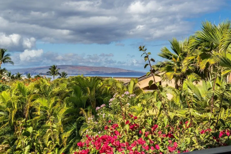 Wailea Ekahi 40E