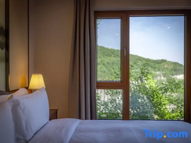 1 Bedroom Villa