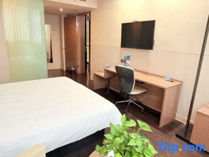 Business Double Suite