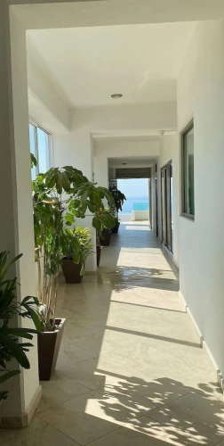 Condos BTB