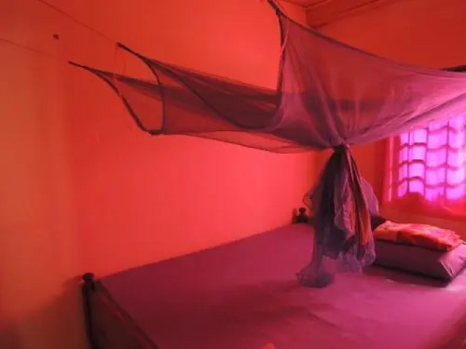 Pangolin Guesthouse