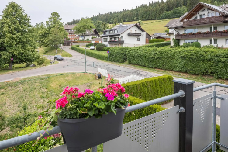 Weitblick Breitnau