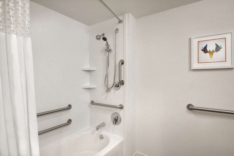 Hampton Inn Atlanta-Buckhead photo 9