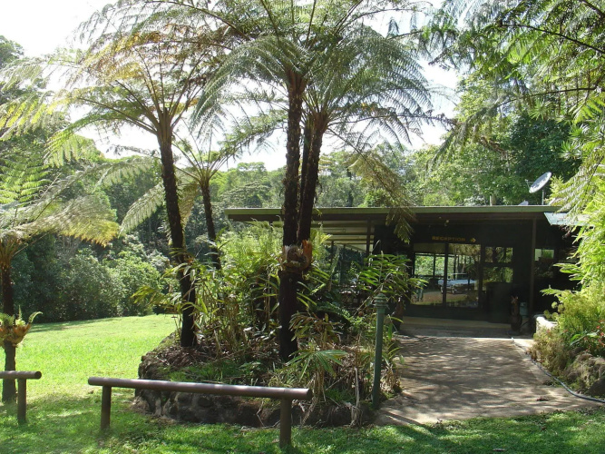 Chambers Wildlife Rainforest Lodges