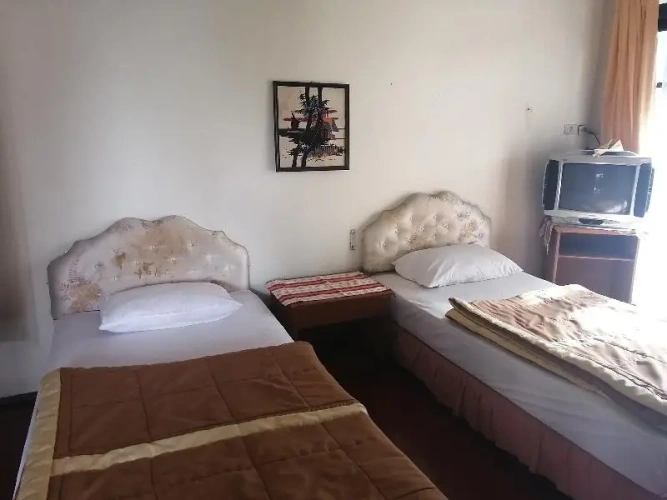 Twin Suite
