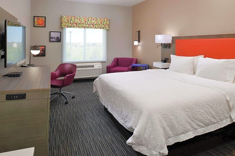 1 Bedroom Suite