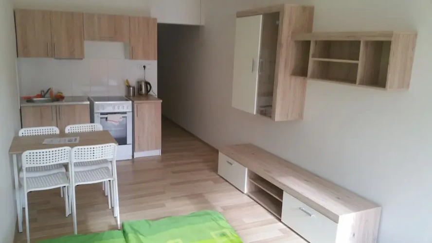 1 Bedroom Classic Apartment