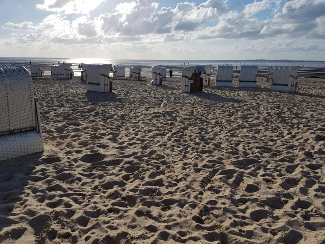 Strand & Heide