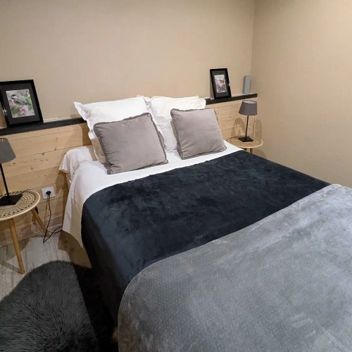 1 Bedroom Classic Apartment