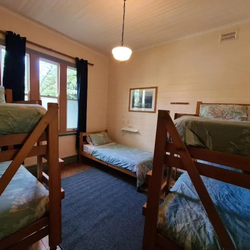 Bed in Dorm