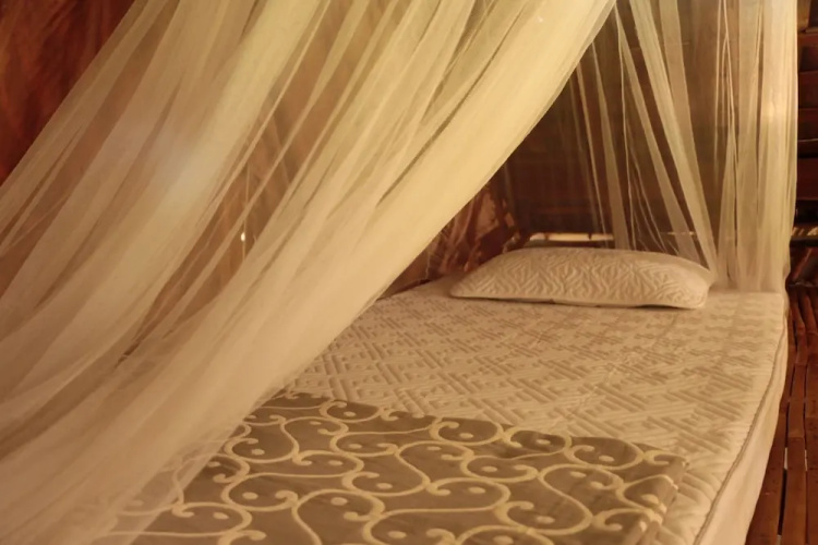 UP2U Guesthouse - Hostel