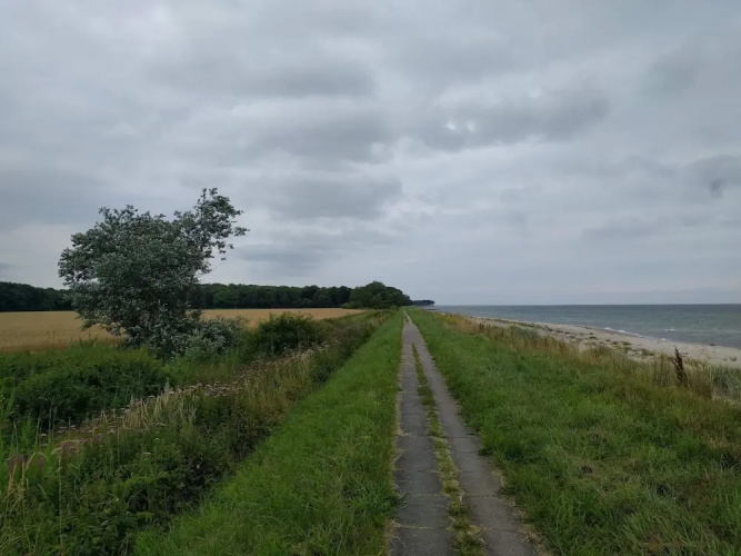 5 Person Holiday Home in Otterup