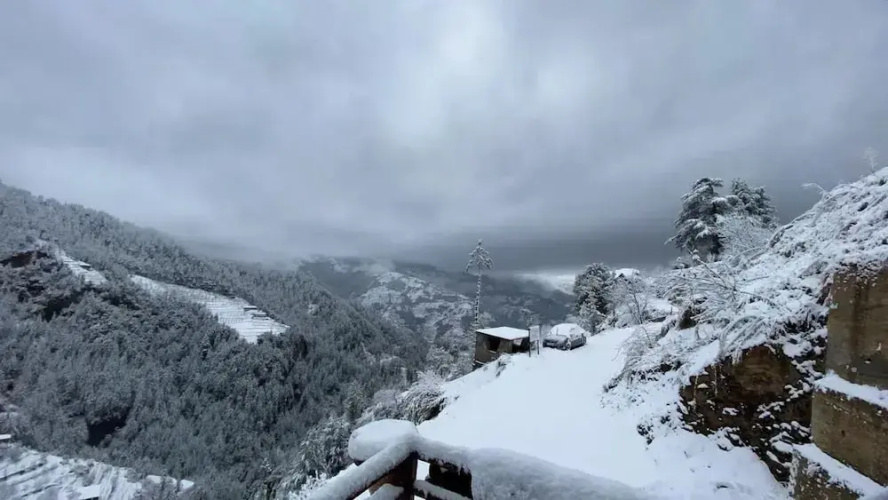 Alpine Crest Homestay
