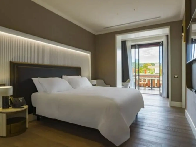 Deluxe Double room with balcony and with park view