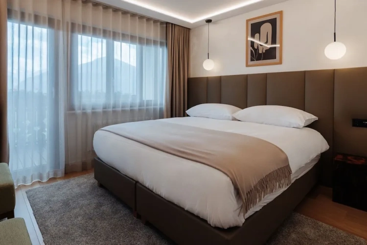 Standard Double room with balcony and with mountain view