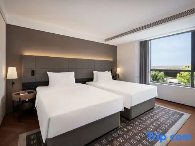 Twin Suite